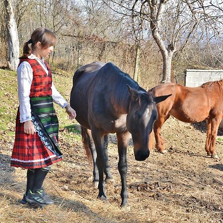 Готель Ecopark Елена Екстер'єр фото