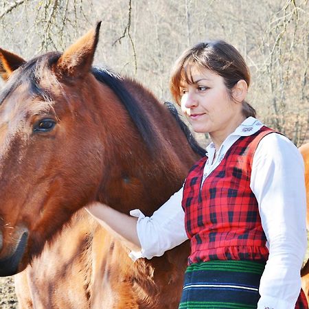 Готель Ecopark Елена Екстер'єр фото