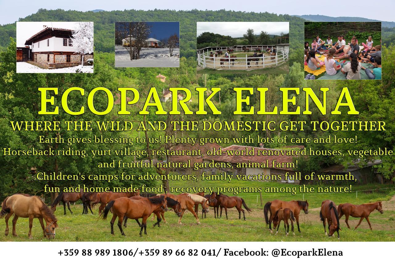 Готель Ecopark Елена Екстер'єр фото