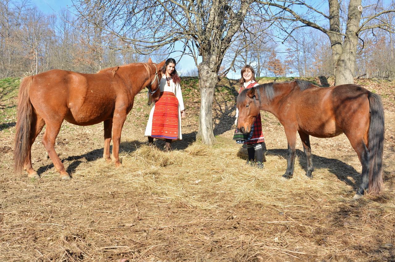 Готель Ecopark Елена Екстер'єр фото