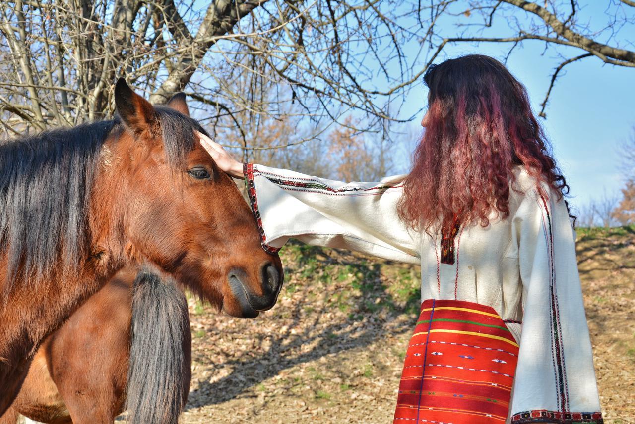 Готель Ecopark Елена Екстер'єр фото