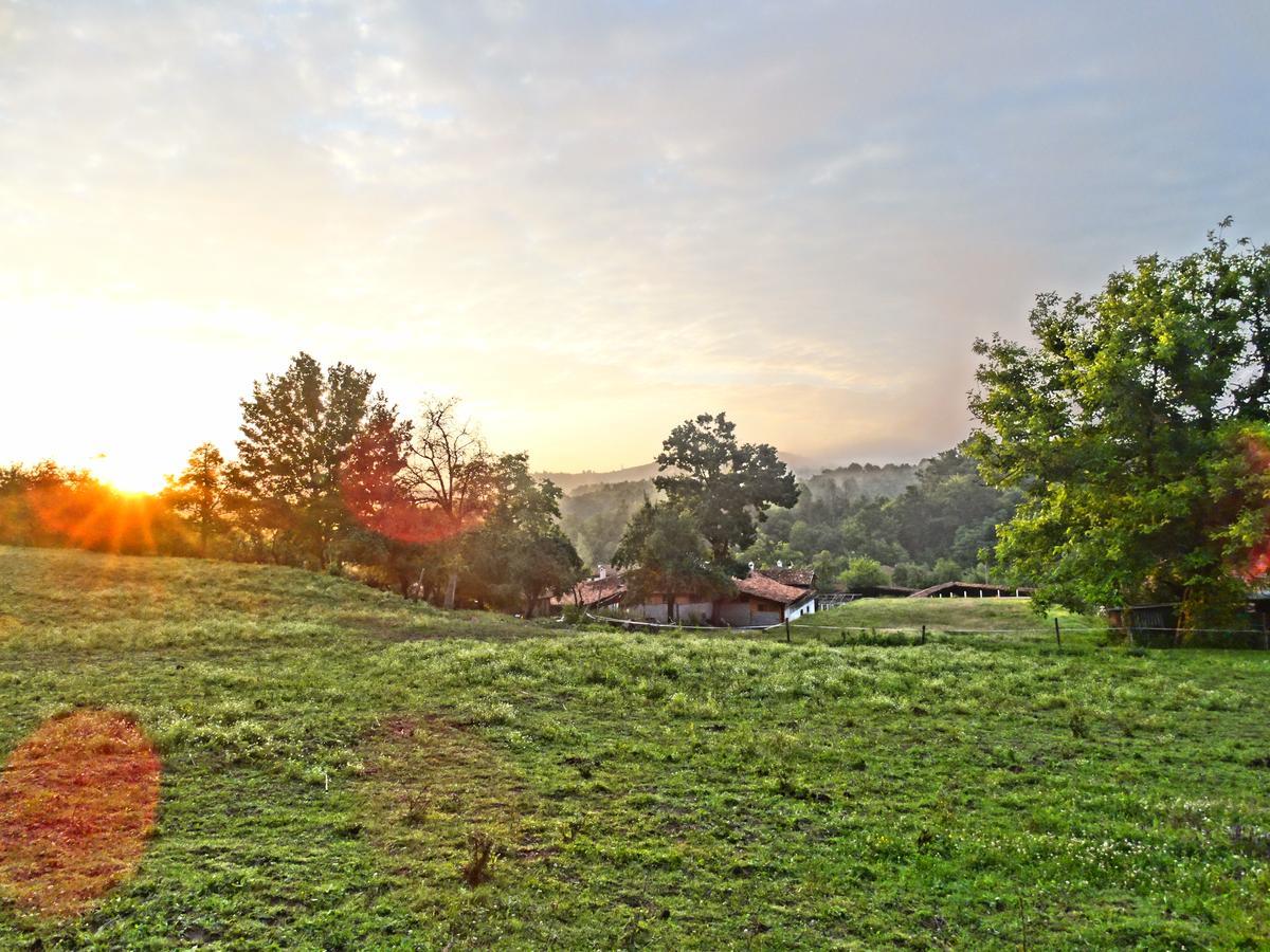 Готель Ecopark Елена Екстер'єр фото