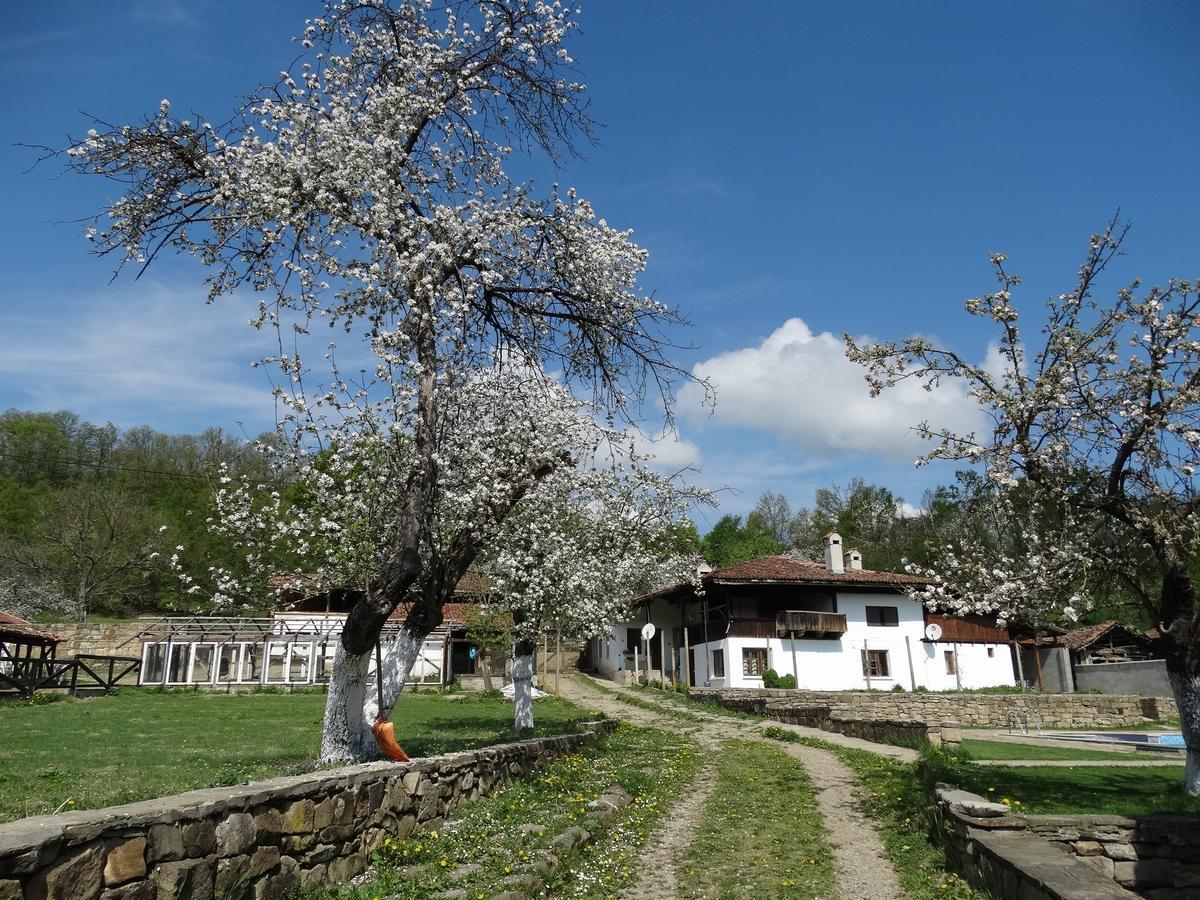 Готель Ecopark Елена Екстер'єр фото
