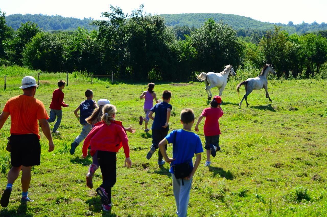 Готель Ecopark Елена Екстер'єр фото