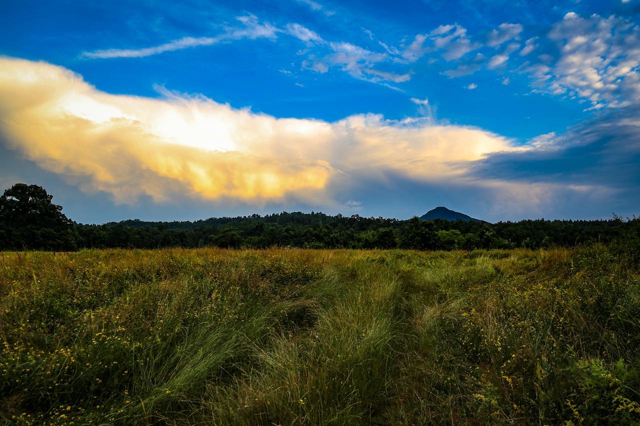 Готель Ecopark Елена Екстер'єр фото