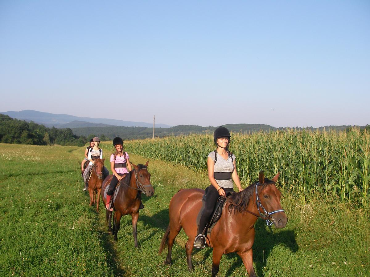 Готель Ecopark Елена Екстер'єр фото