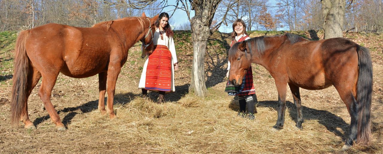 Готель Ecopark Елена Екстер'єр фото