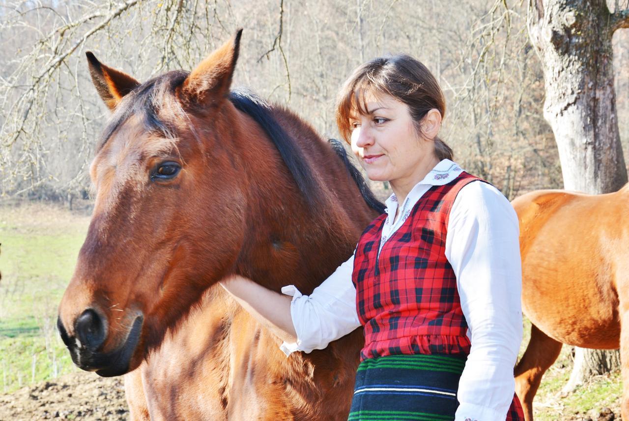 Готель Ecopark Елена Екстер'єр фото